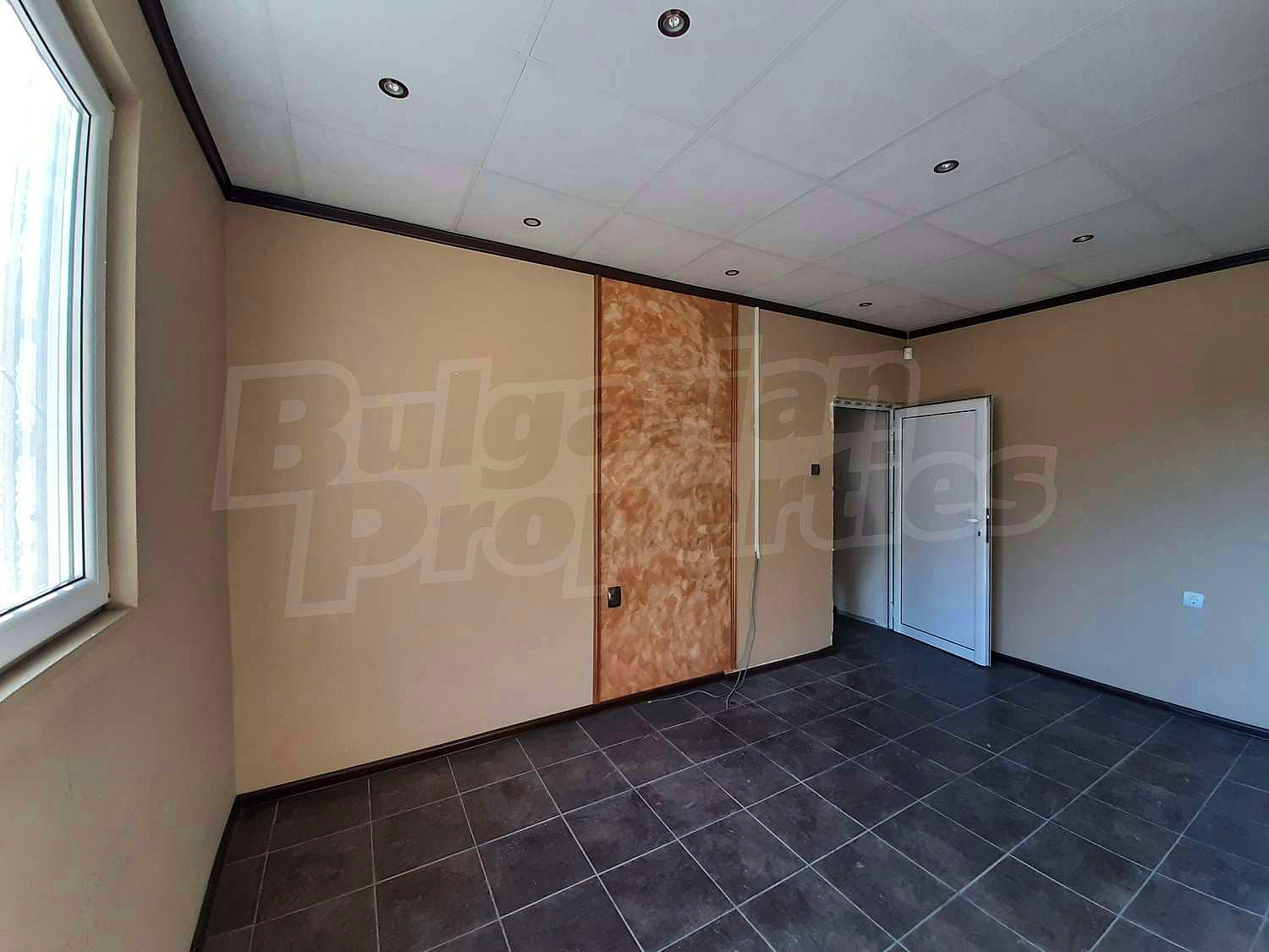 Gallery Picture 11