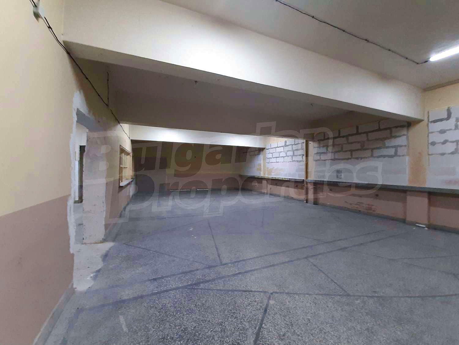 Gallery Picture 17