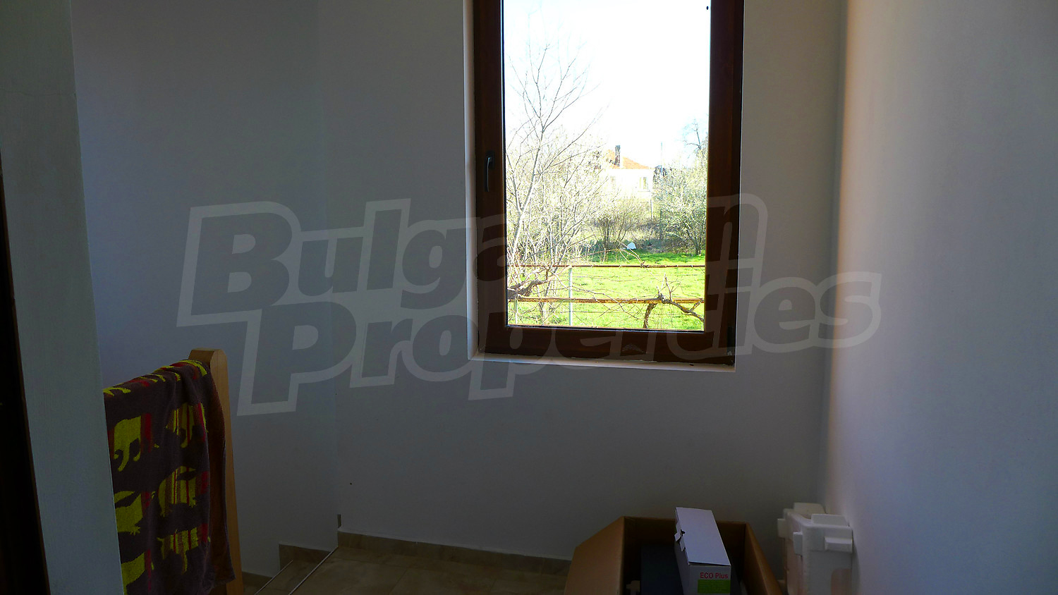 Gallery Picture 29