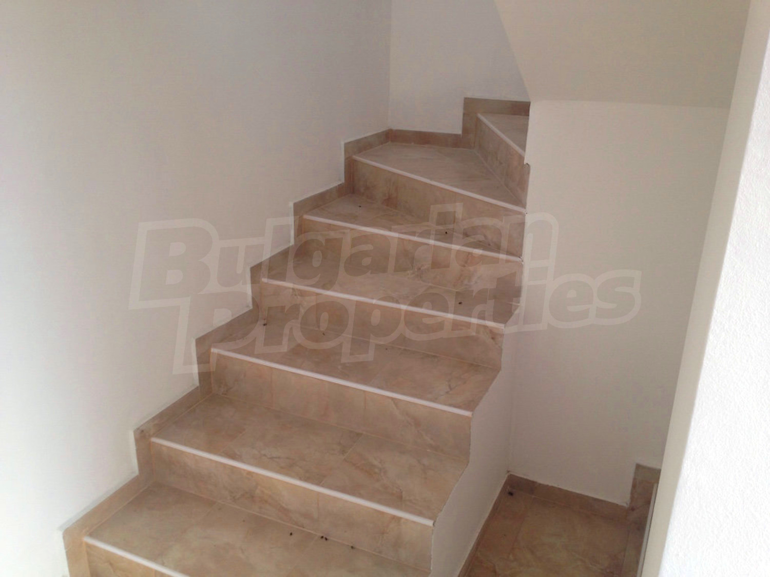 Gallery Picture 31