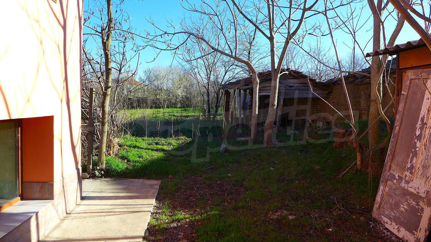 Gallery Picture 39