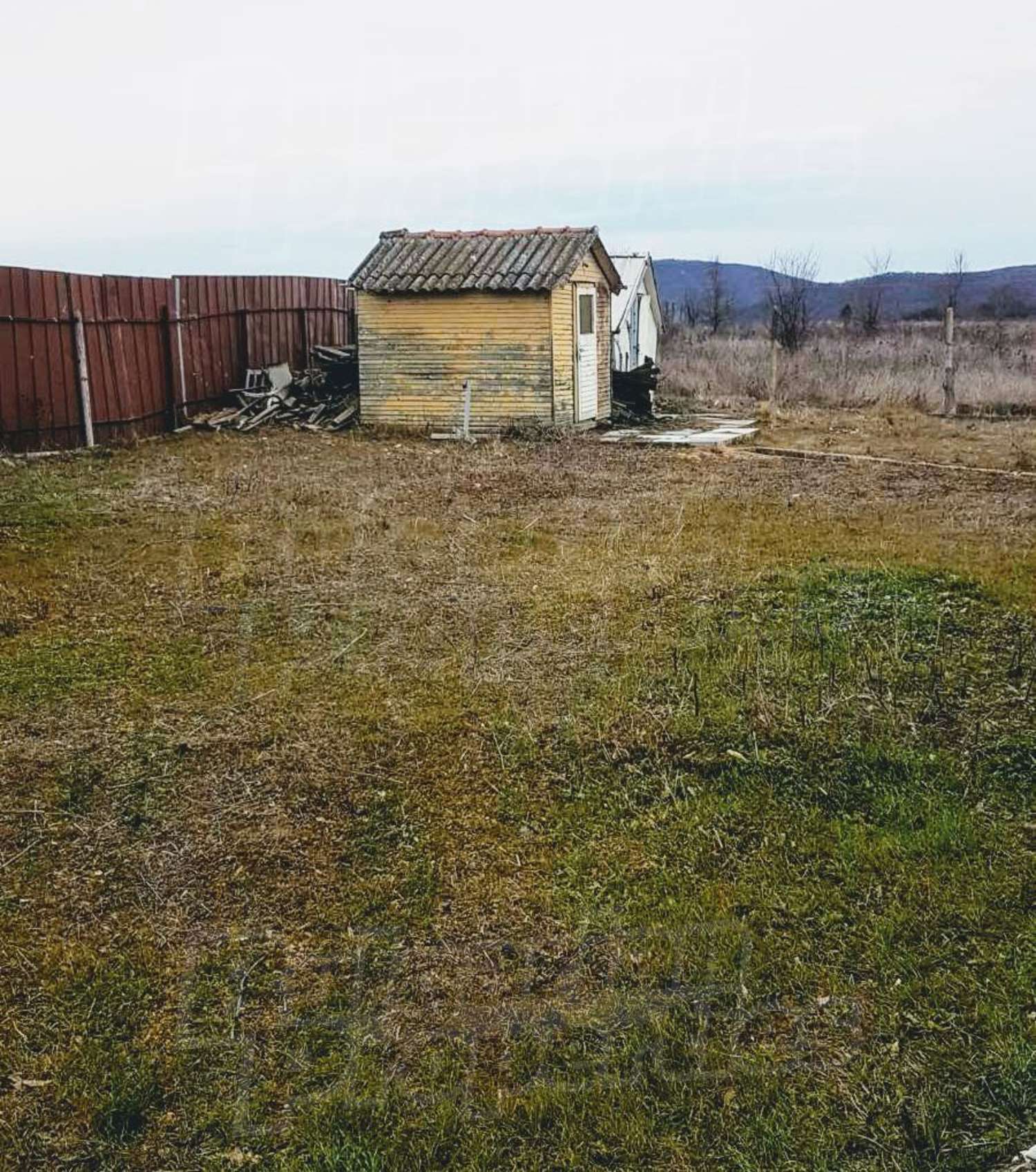 Gallery Picture 14