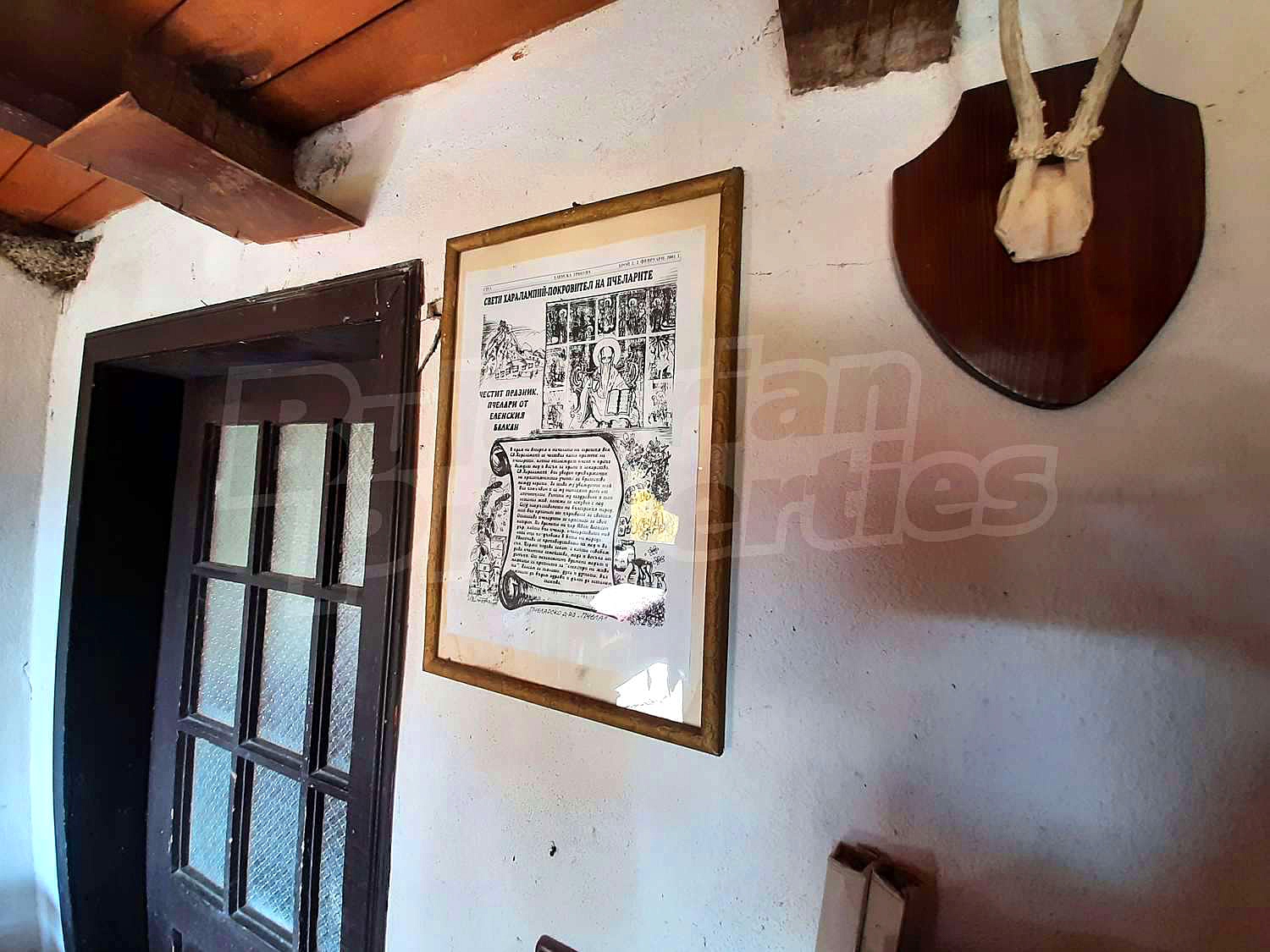 Gallery Picture 11