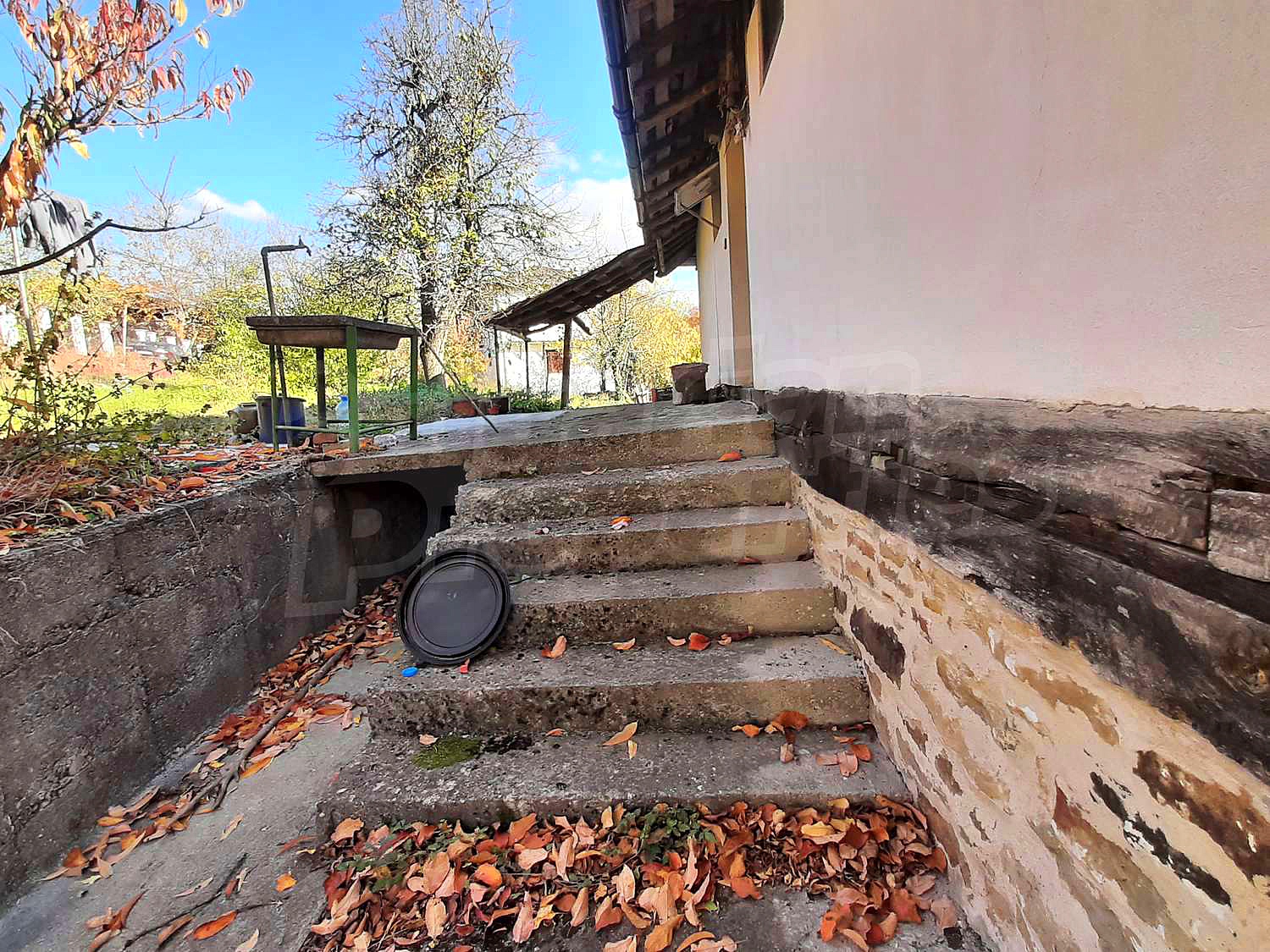 Gallery Picture 16