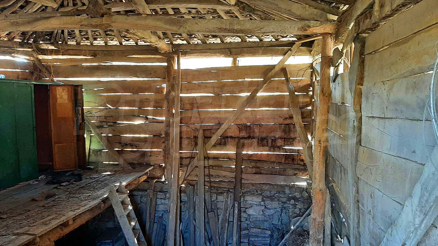 Gallery Picture 36