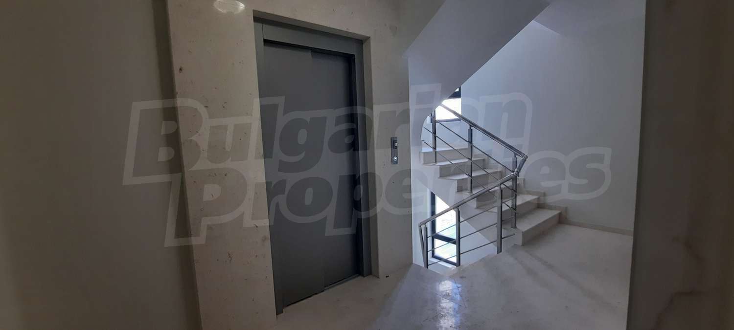 Gallery Picture 15