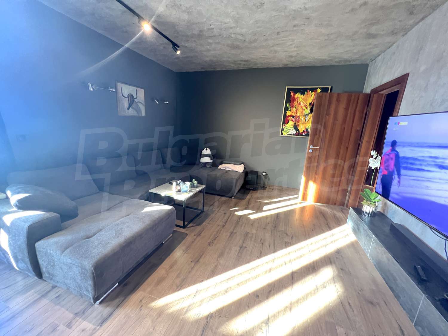 Gallery Picture 17