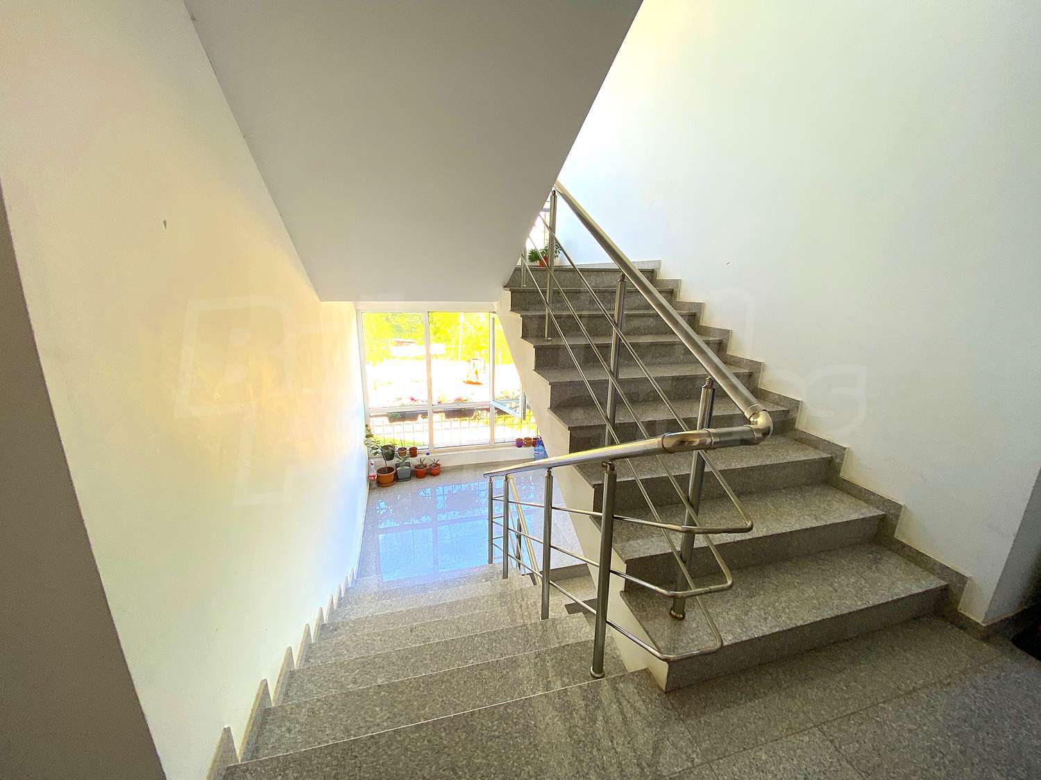 Gallery Picture 23