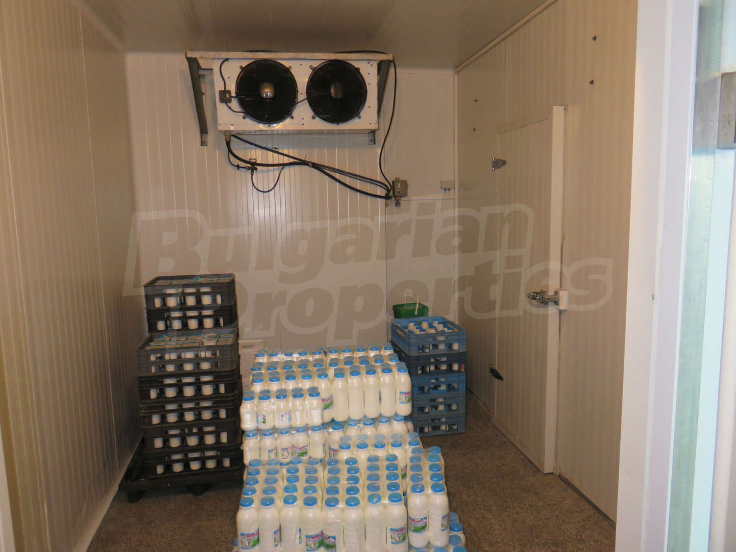 Gallery Picture 10