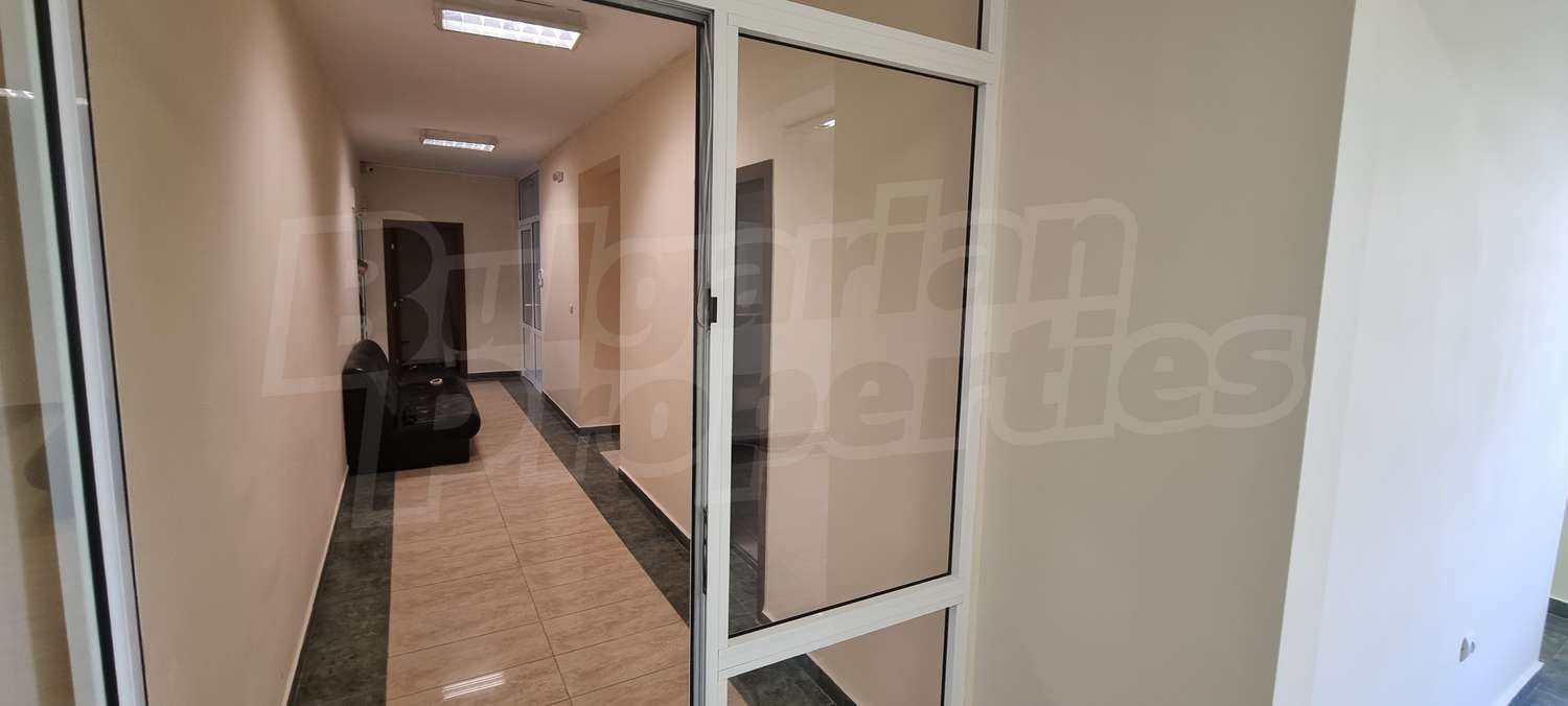 Gallery Picture 10