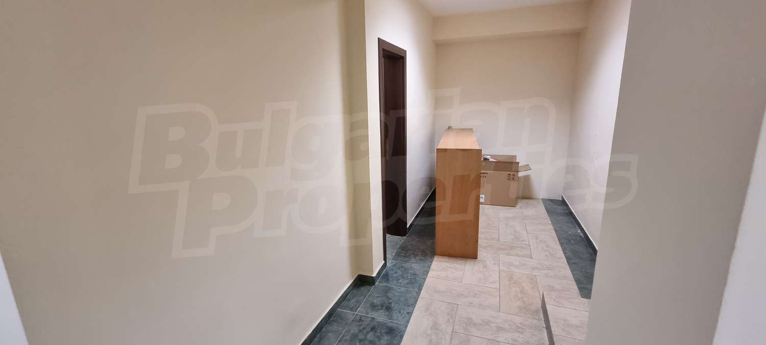 Gallery Picture 14