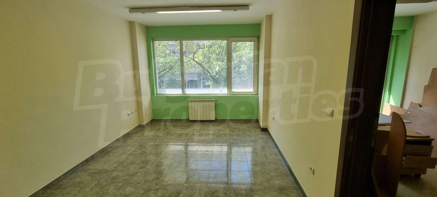 Gallery Picture 16