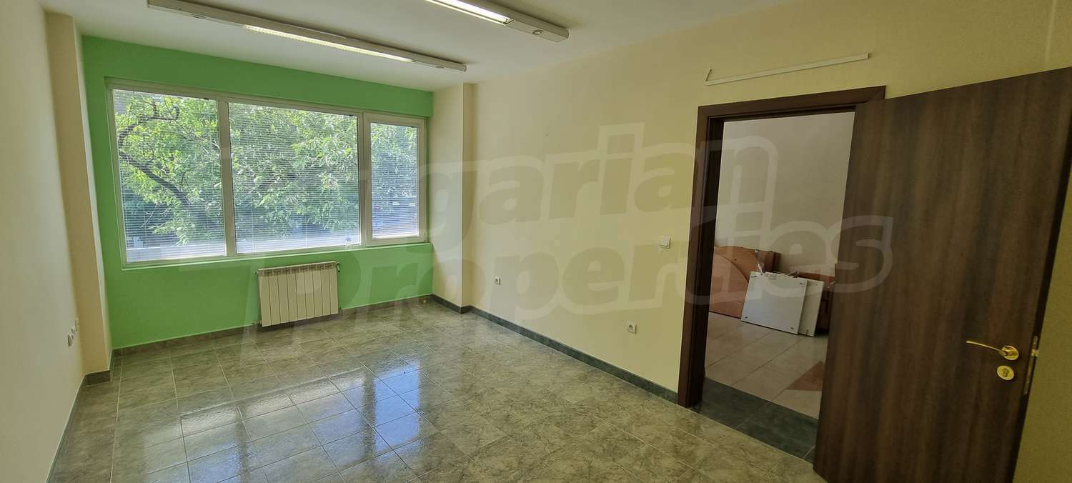 Gallery Picture 17