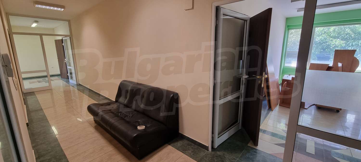 Gallery Picture 21