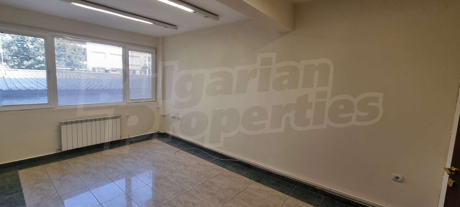 Gallery Picture 8