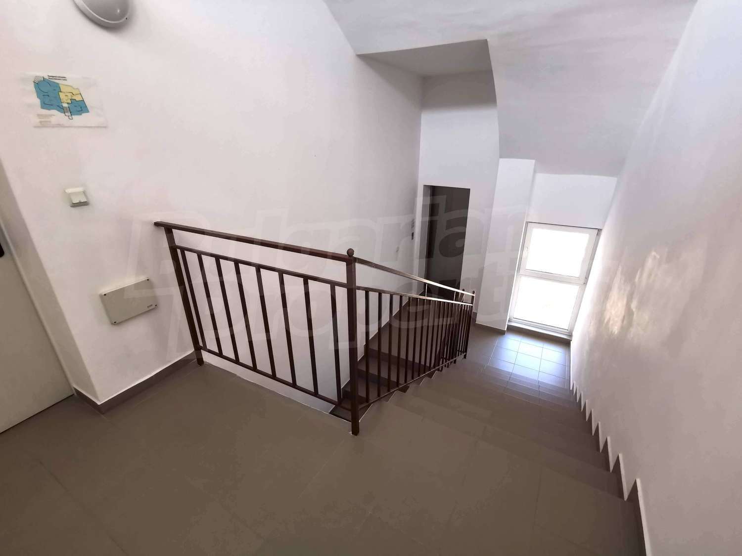 Gallery Picture 33