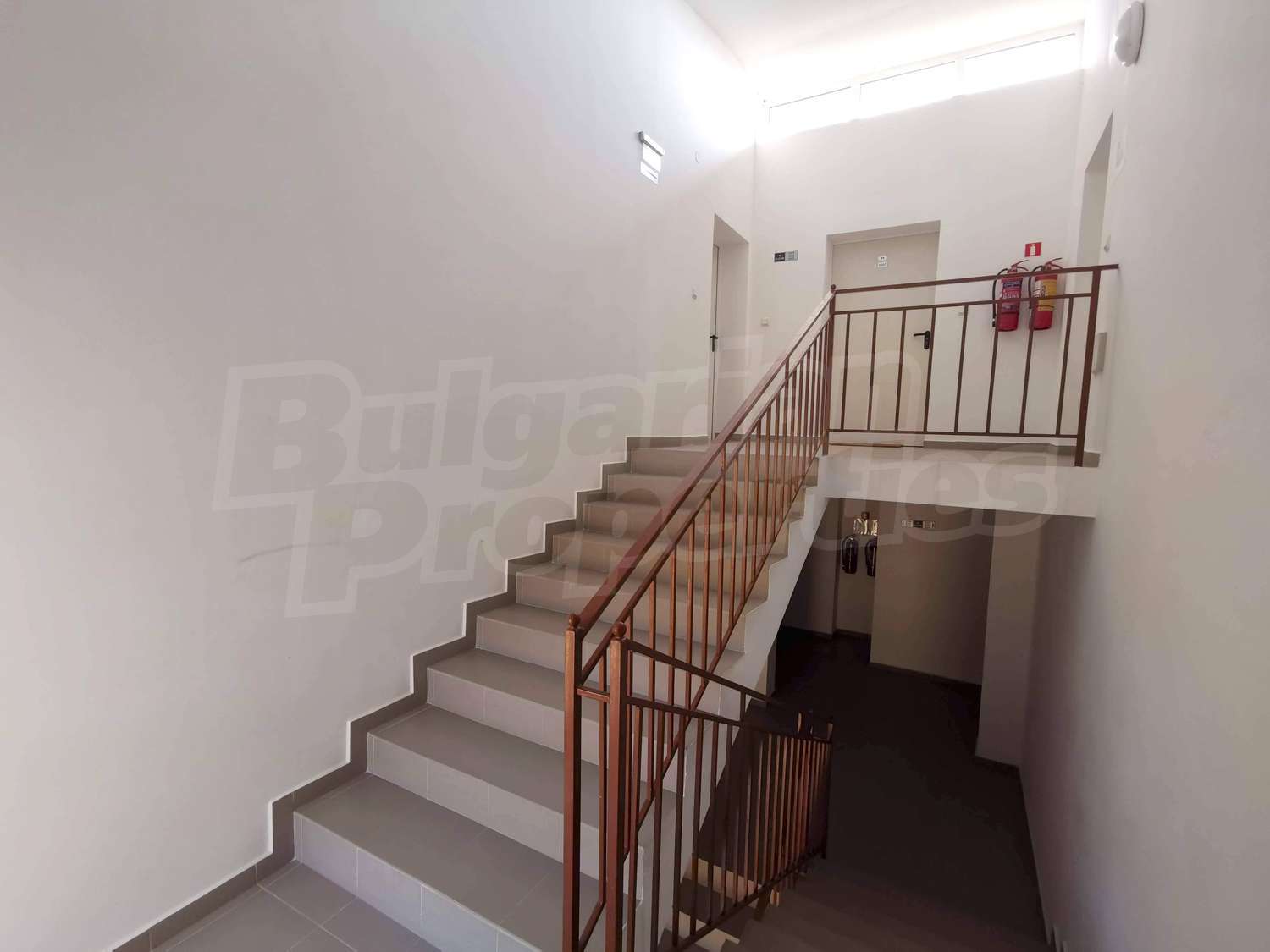 Gallery Picture 34