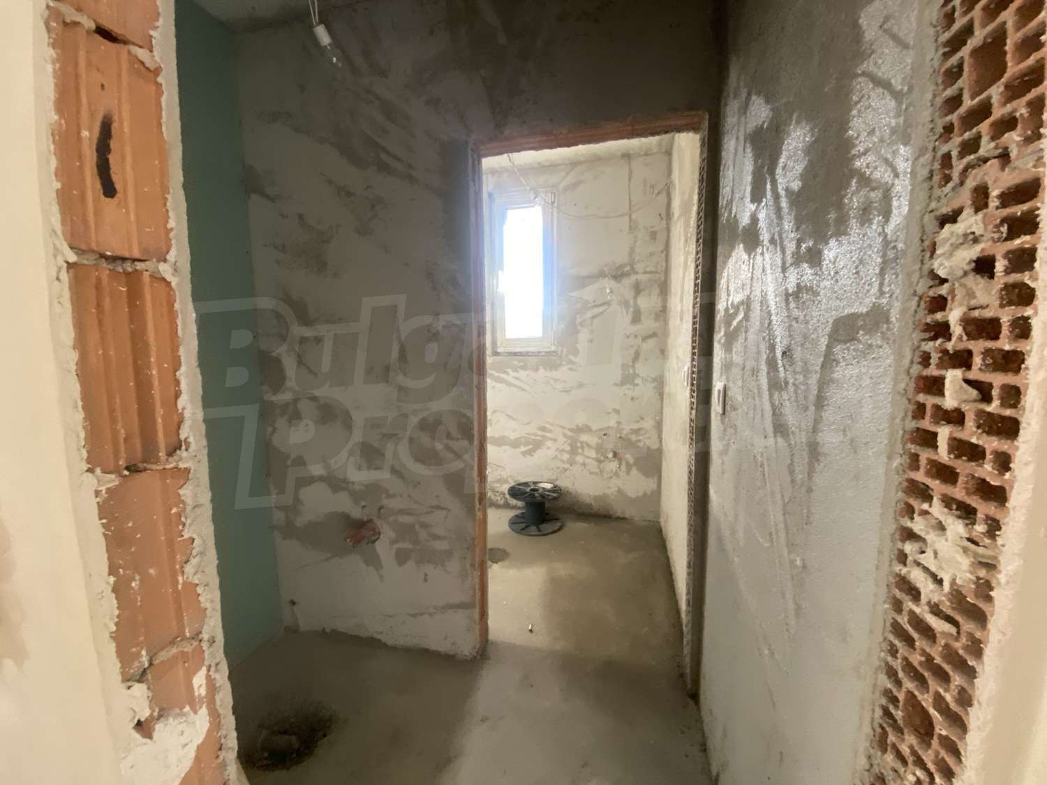 Gallery Picture 10