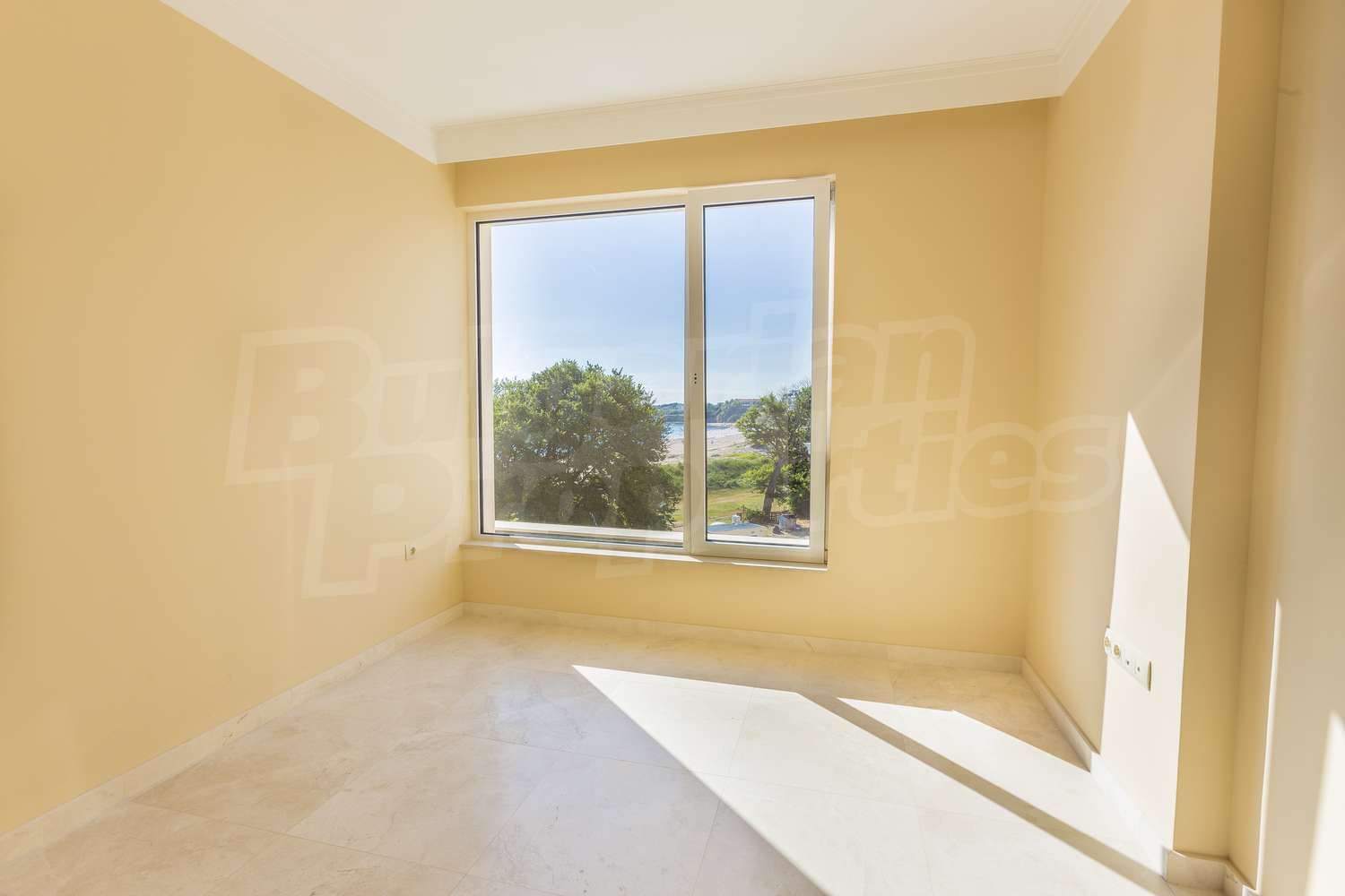 Gallery Picture 31