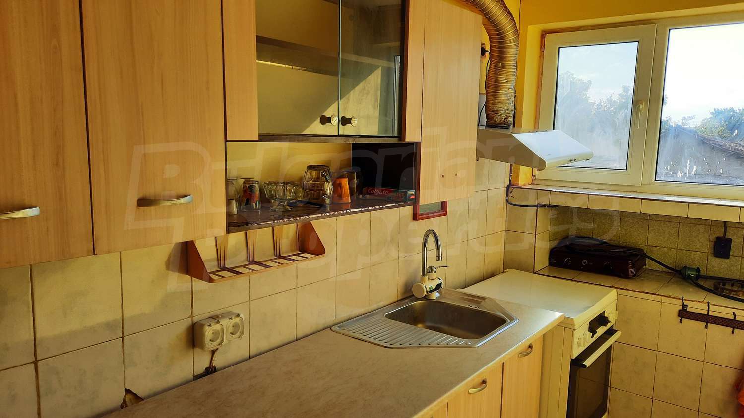 Gallery Picture 30