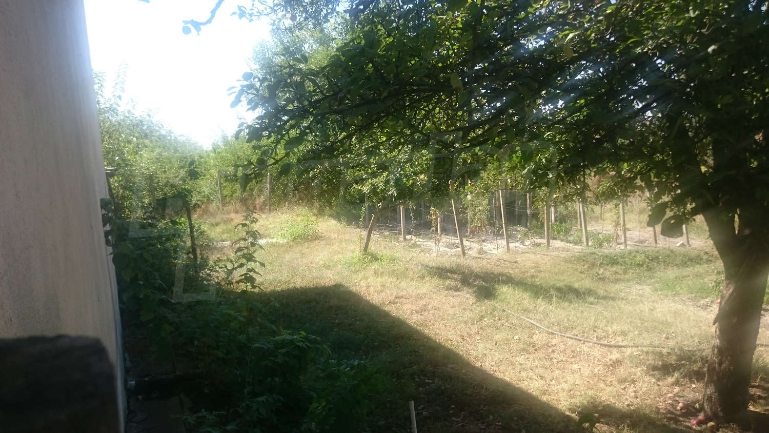 House for sale near Pleven, Bulgaria.