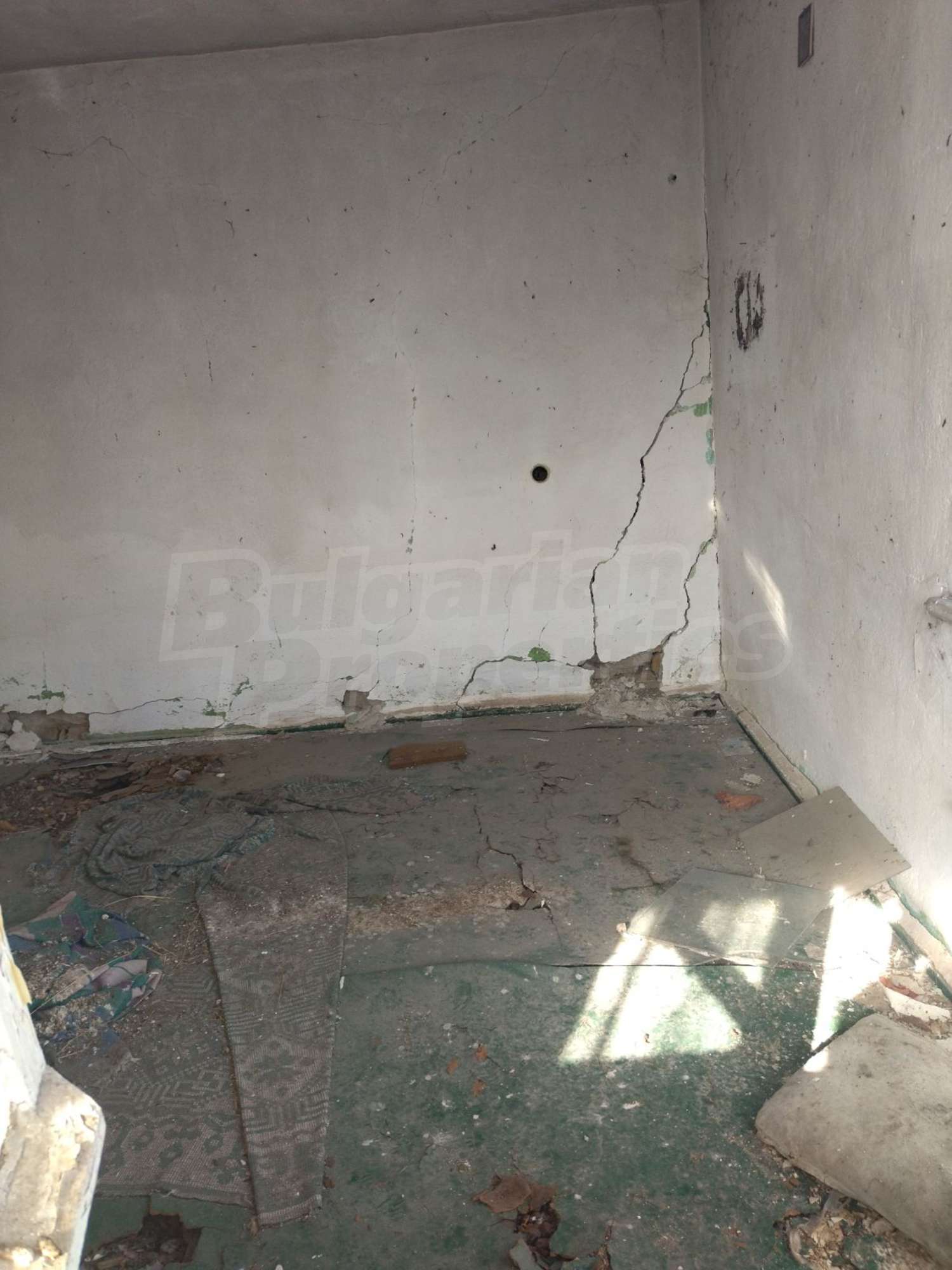 Gallery Picture 6