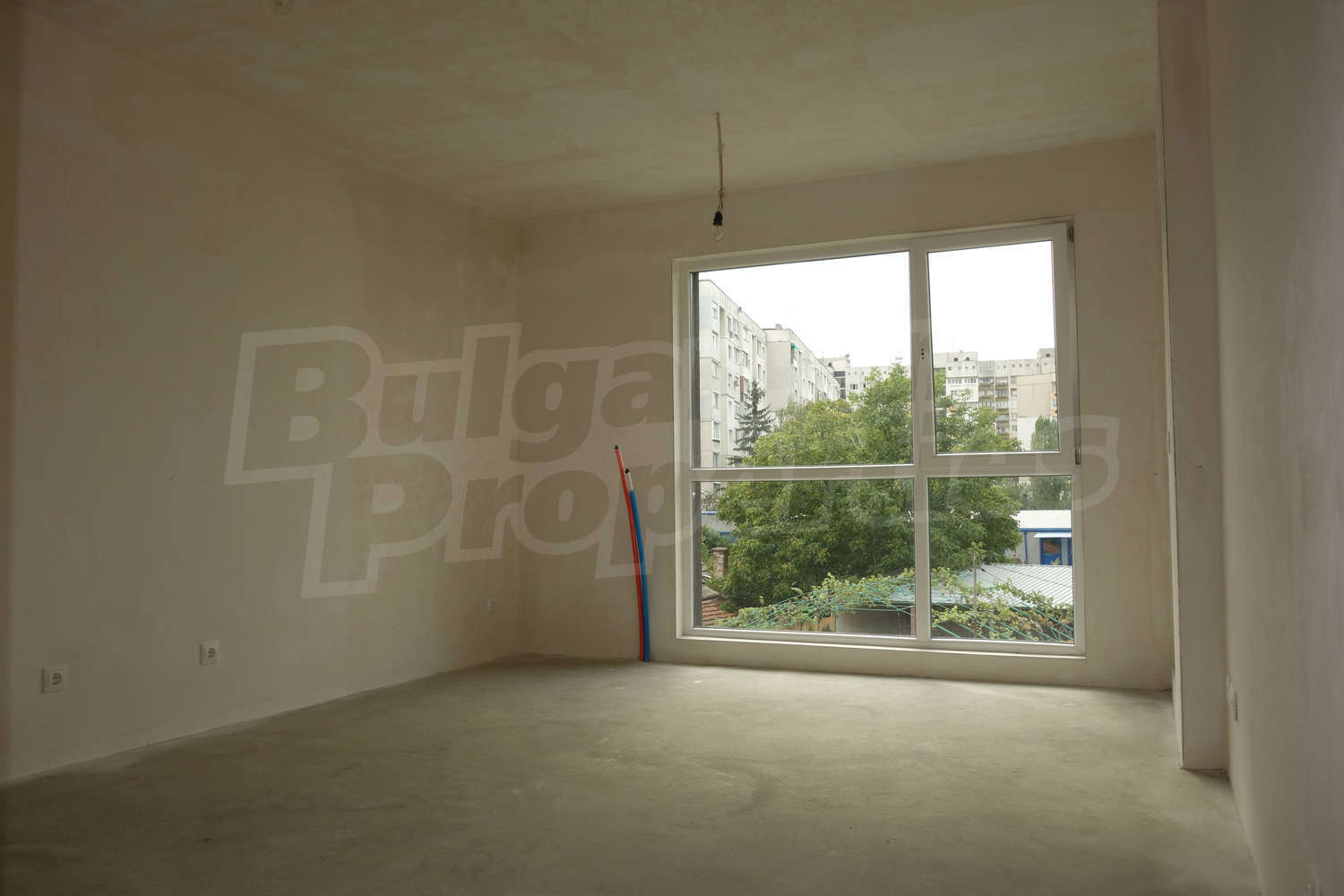Gallery Picture 19