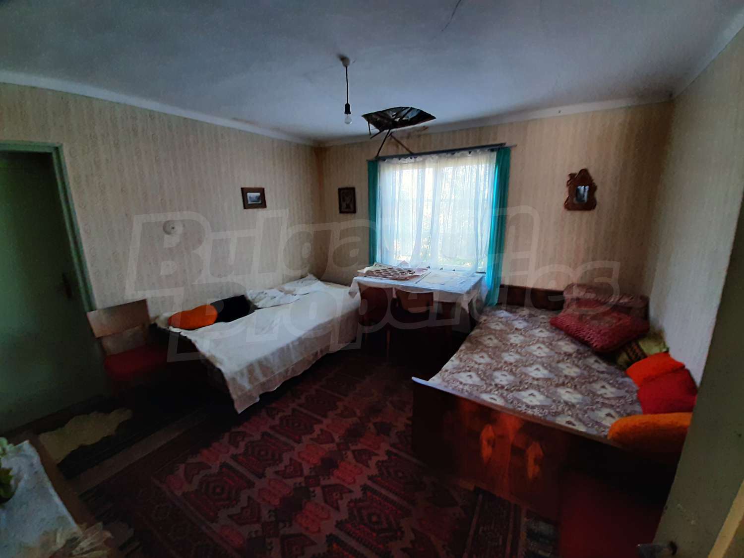 Gallery Picture 11