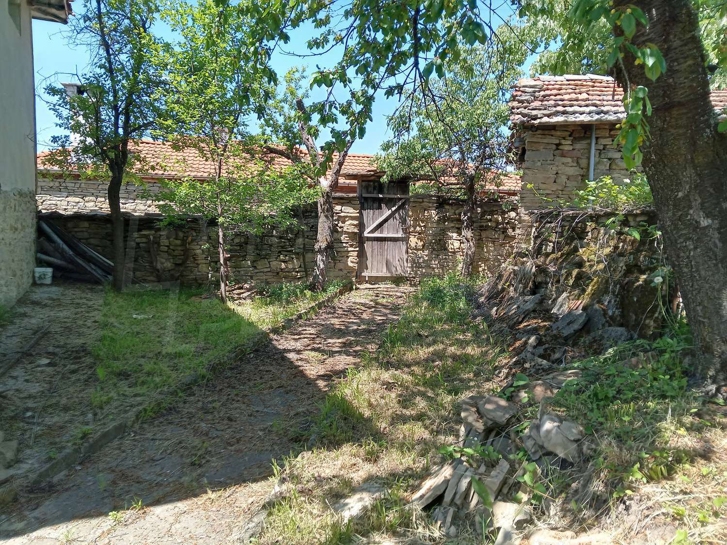 Gallery Picture 14