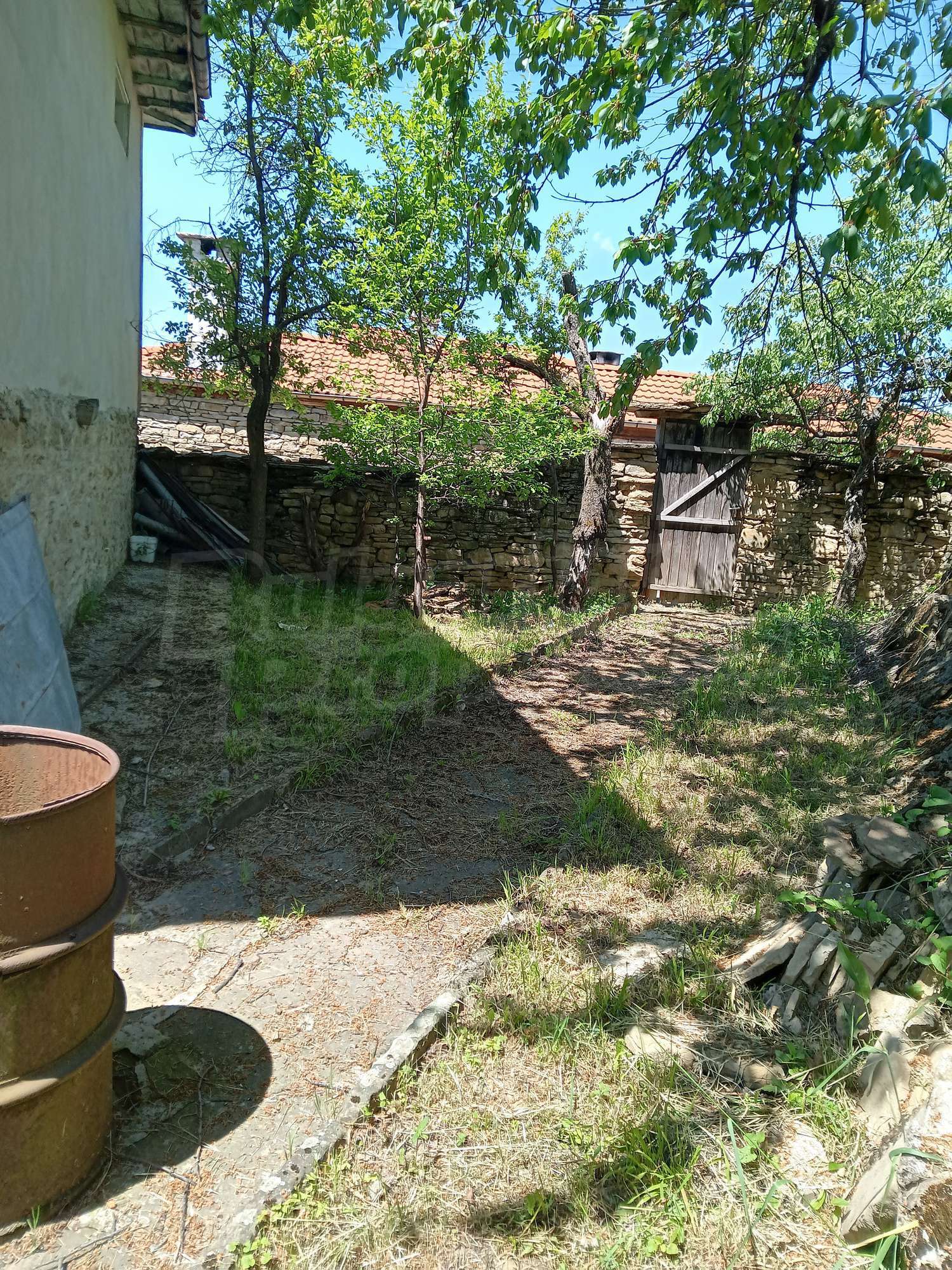 Gallery Picture 17