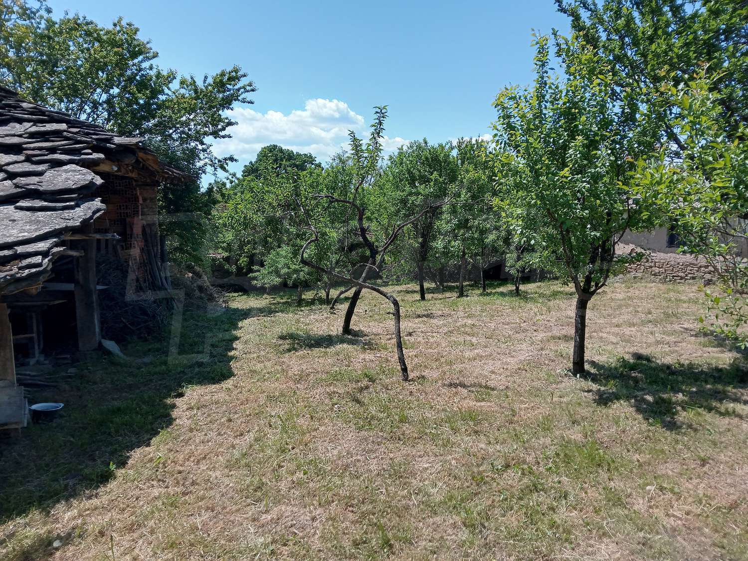 Gallery Picture 18