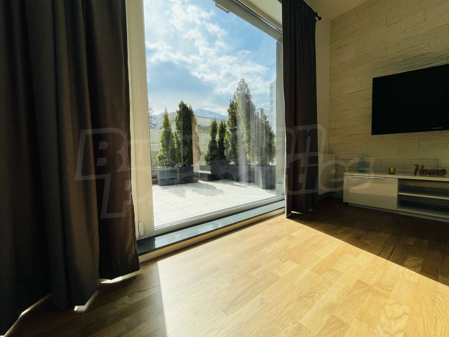 Gallery Picture 12