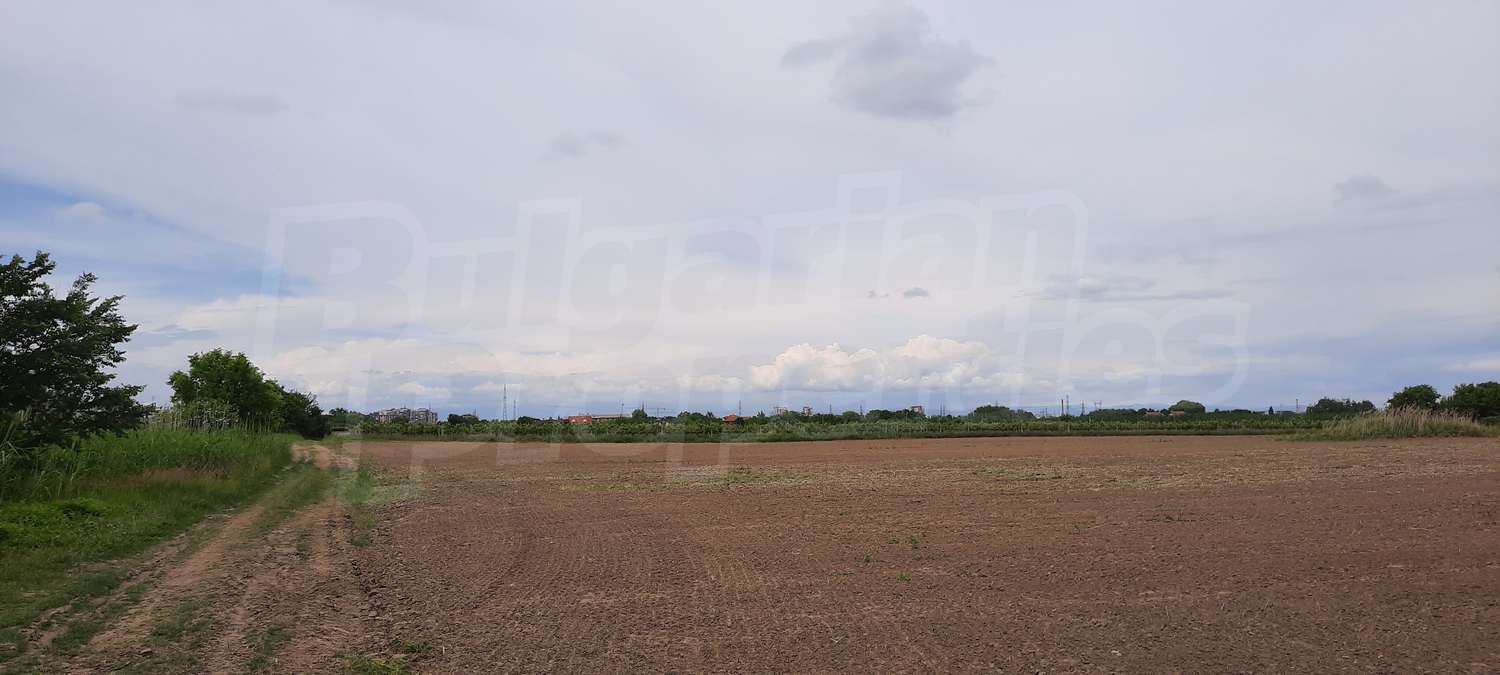 Gallery Picture 9