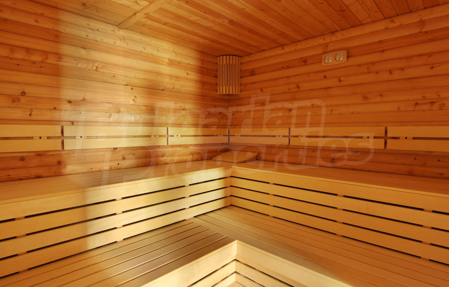 Gallery Picture 29