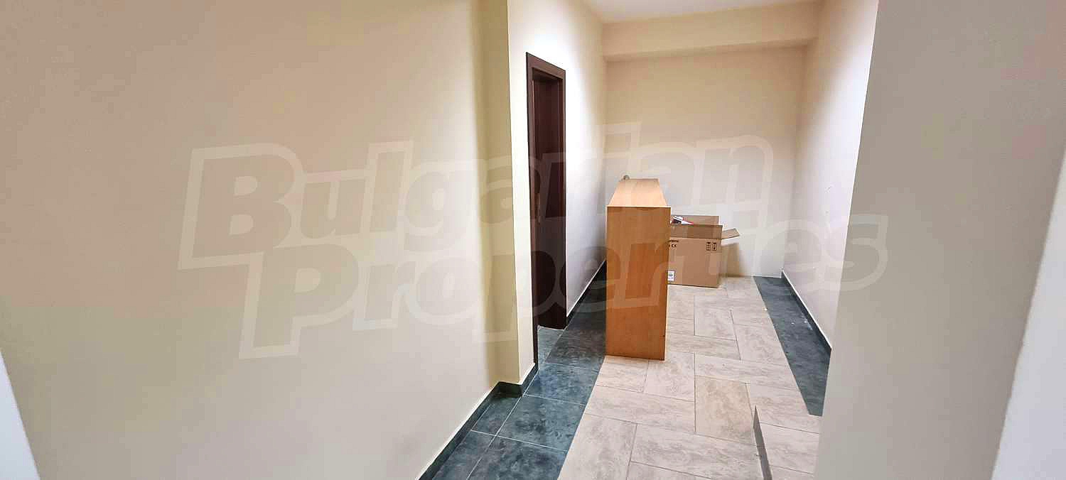 Gallery Picture 13