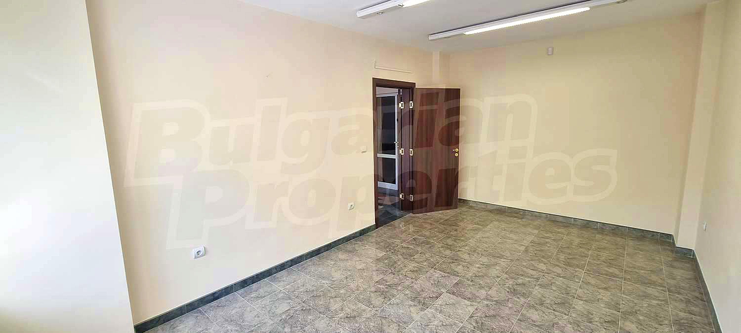 Gallery Picture 17
