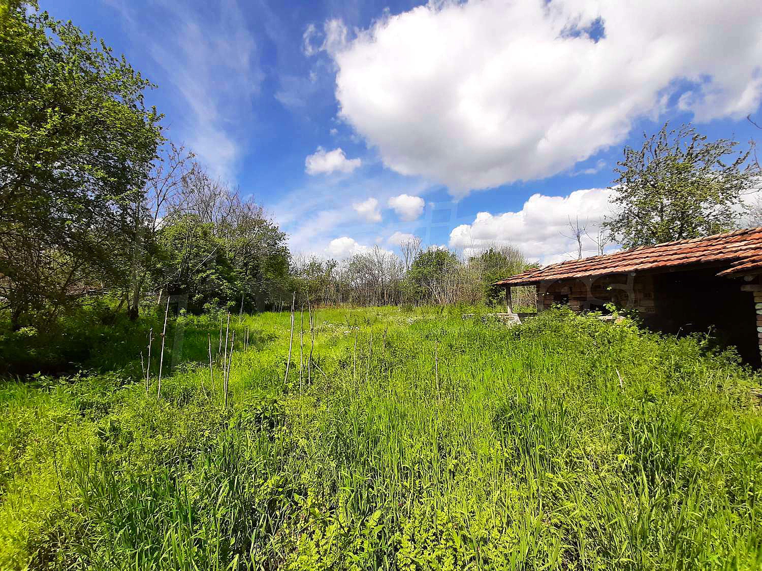 House for sale near Polski Trambesh, Bulgaria. One-story house in a ...