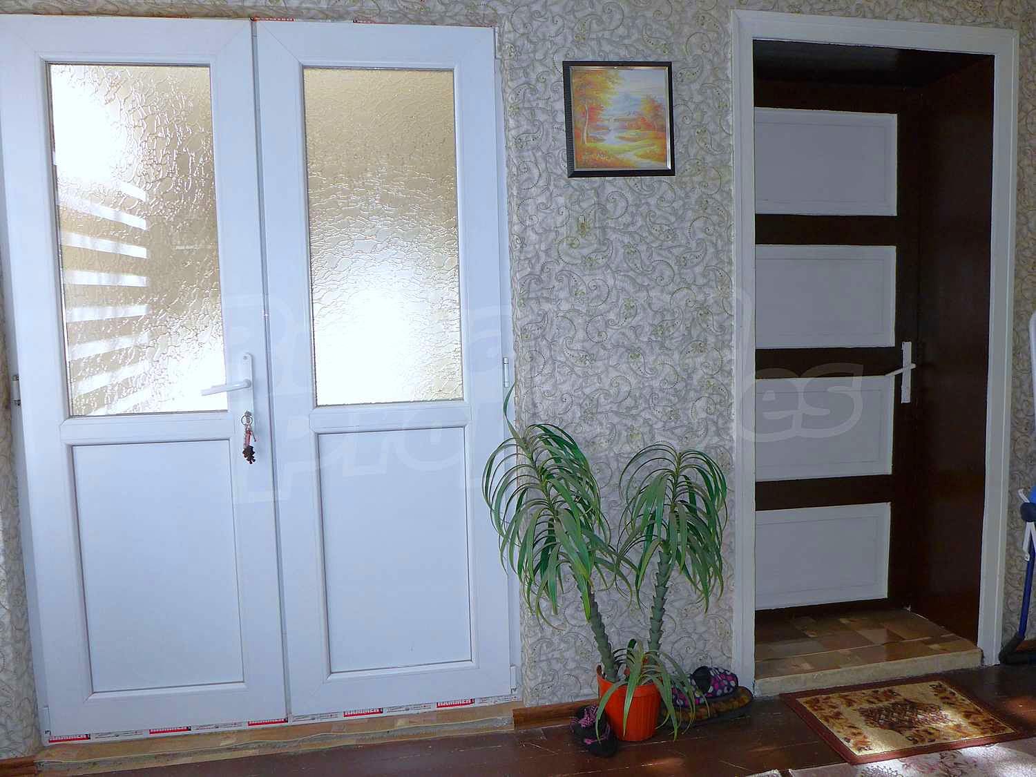 Gallery Picture 26
