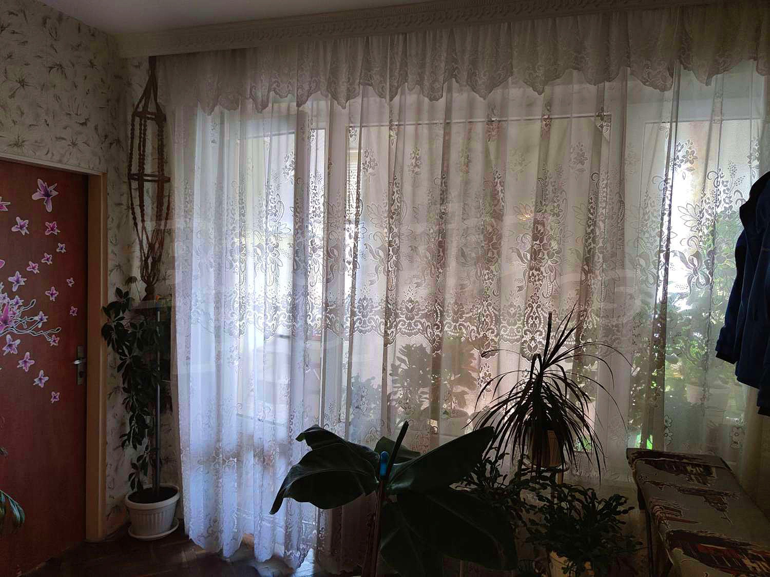 Gallery Picture 16