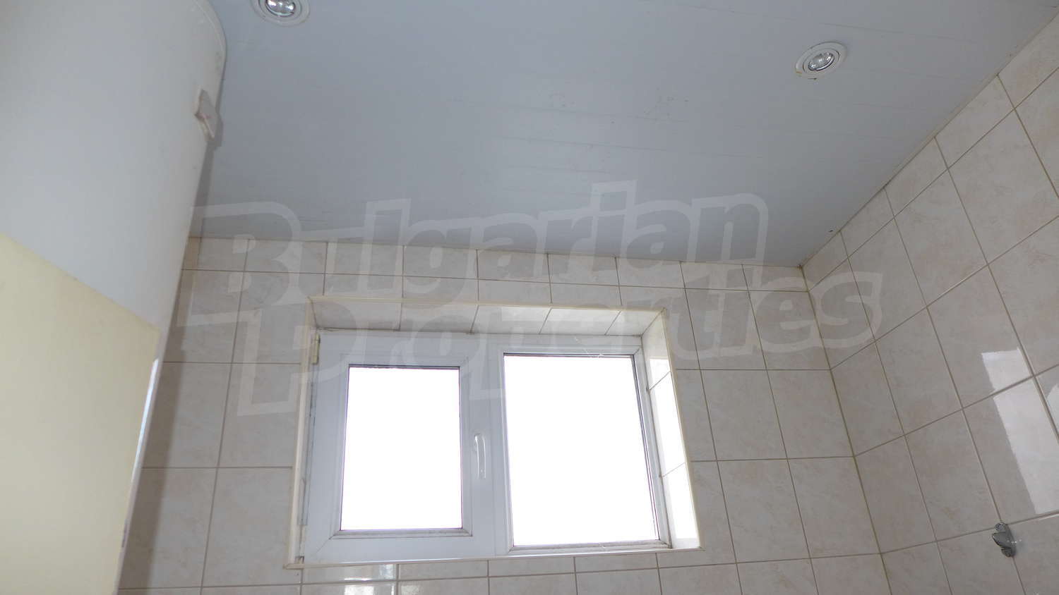 Gallery Picture 20