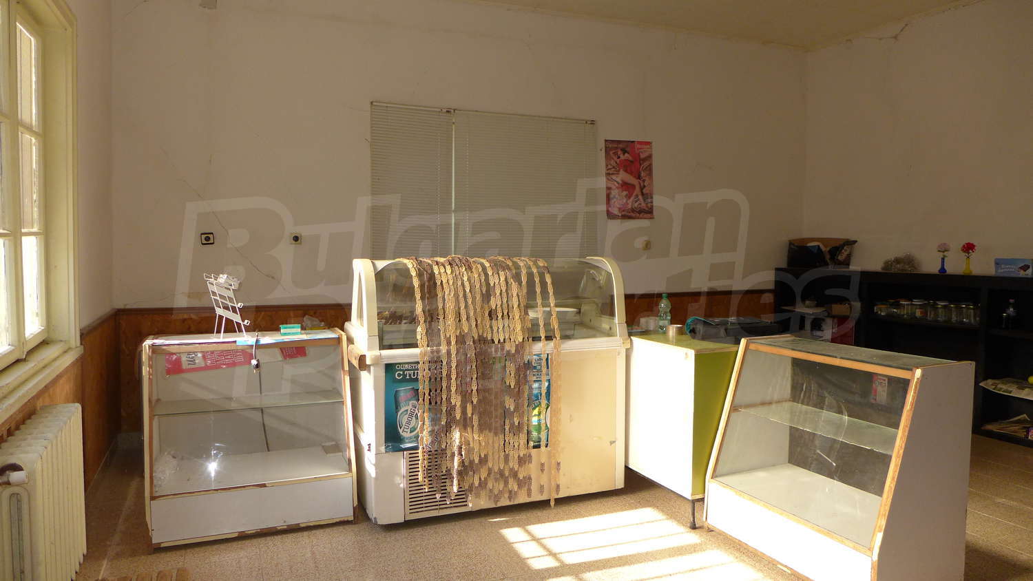 Gallery Picture 31