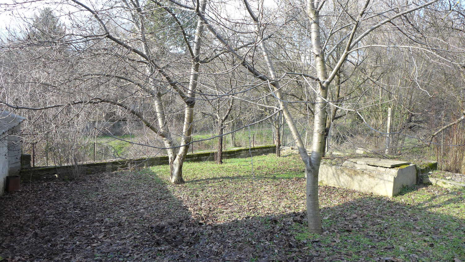 Gallery Picture 40