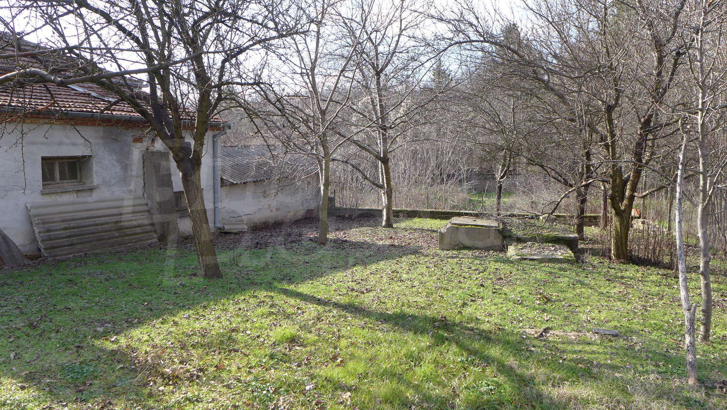 Gallery Picture 43