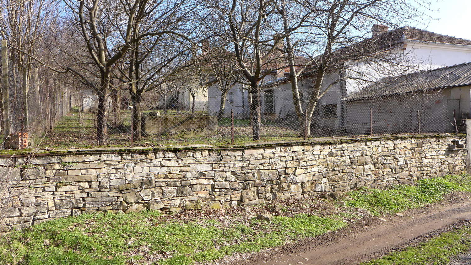 Gallery Picture 45