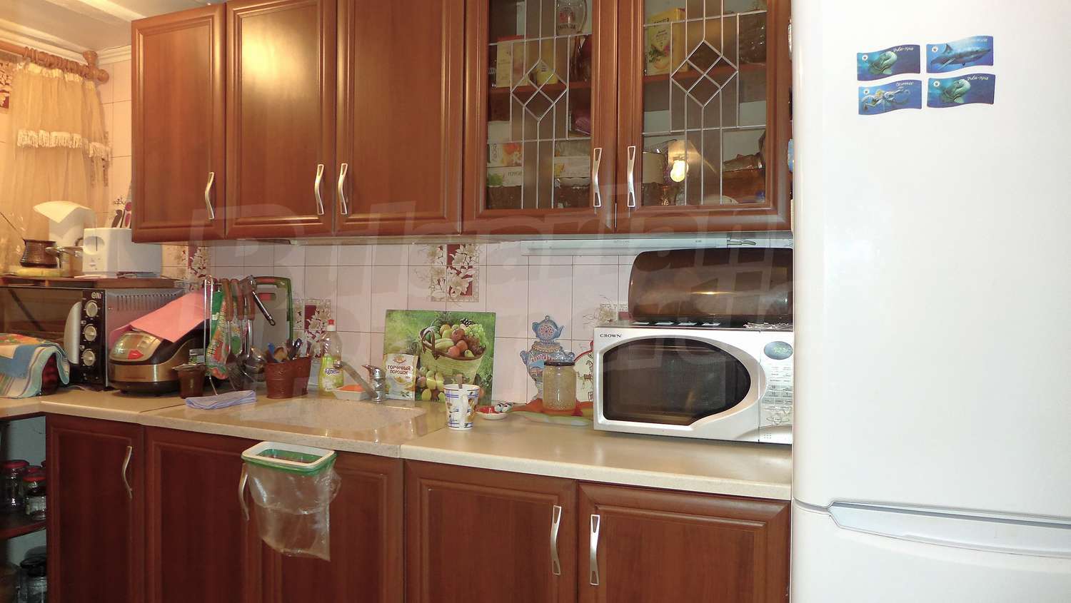 Gallery Picture 10