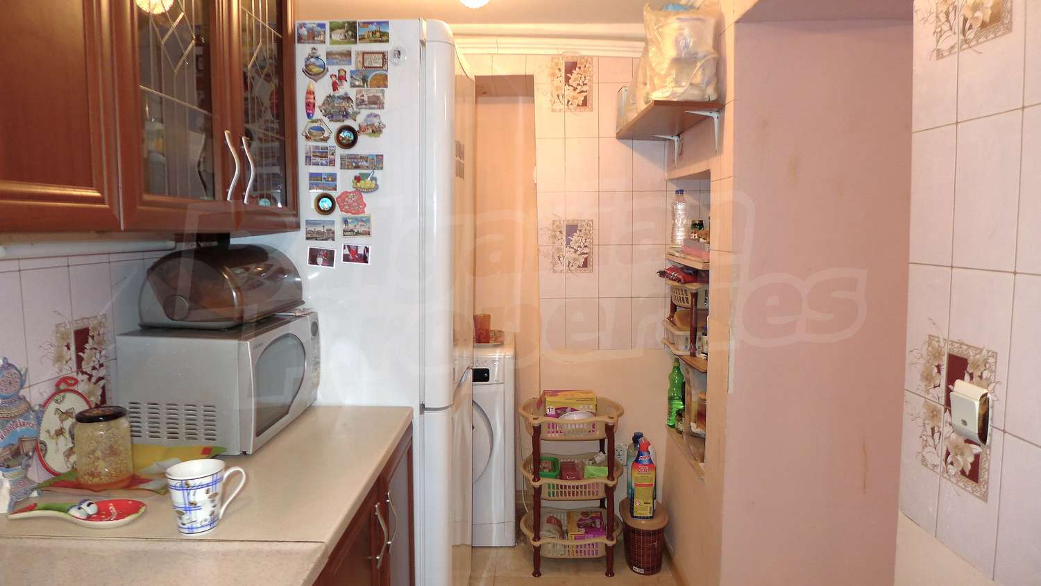 Gallery Picture 12