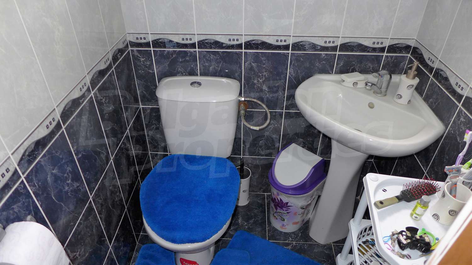 Gallery Picture 34