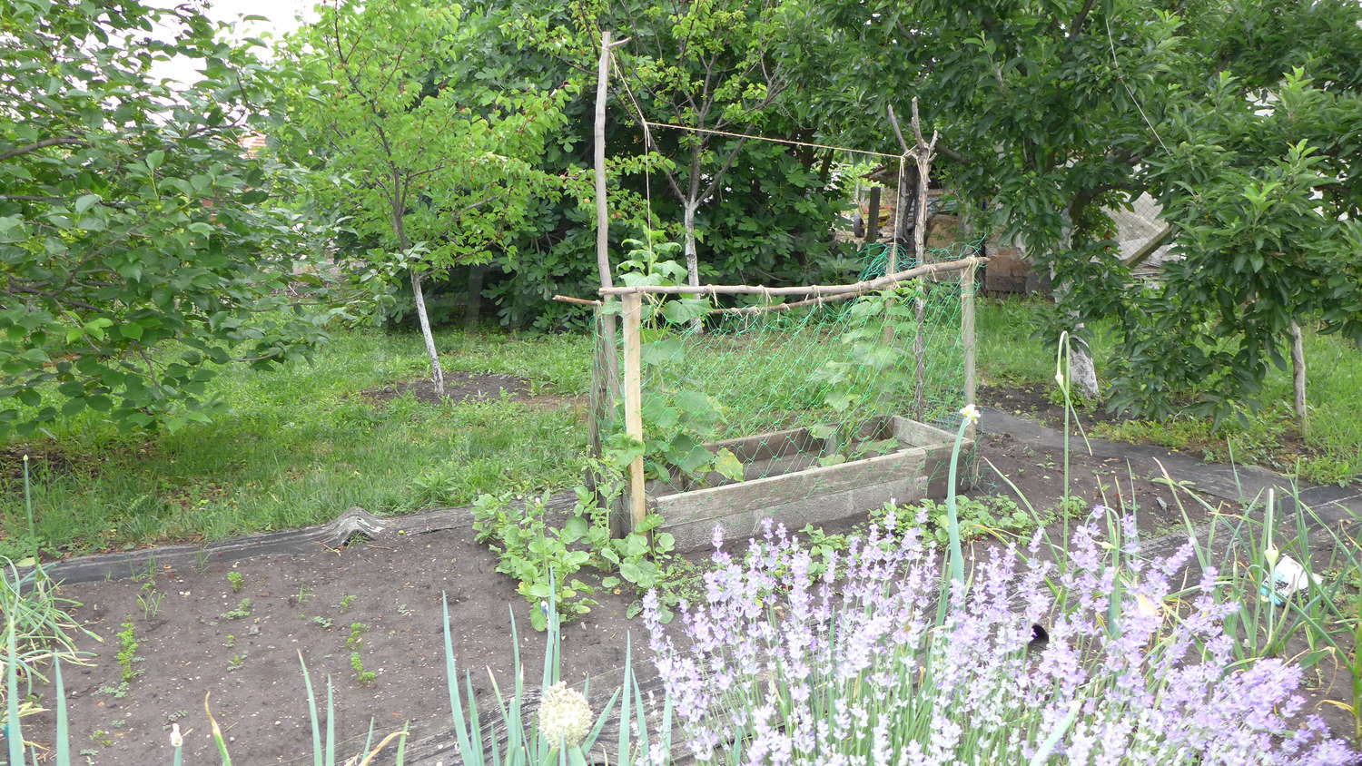 Gallery Picture 39
