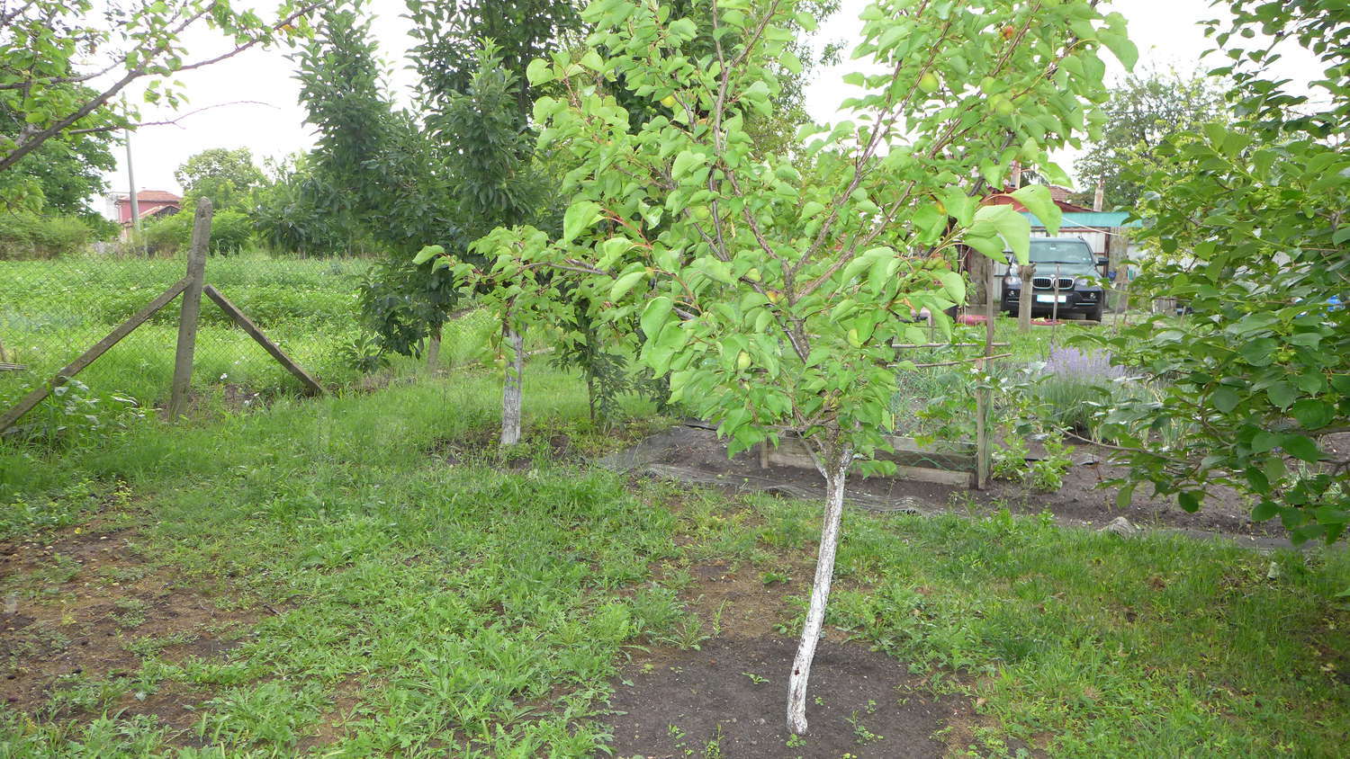 Gallery Picture 45