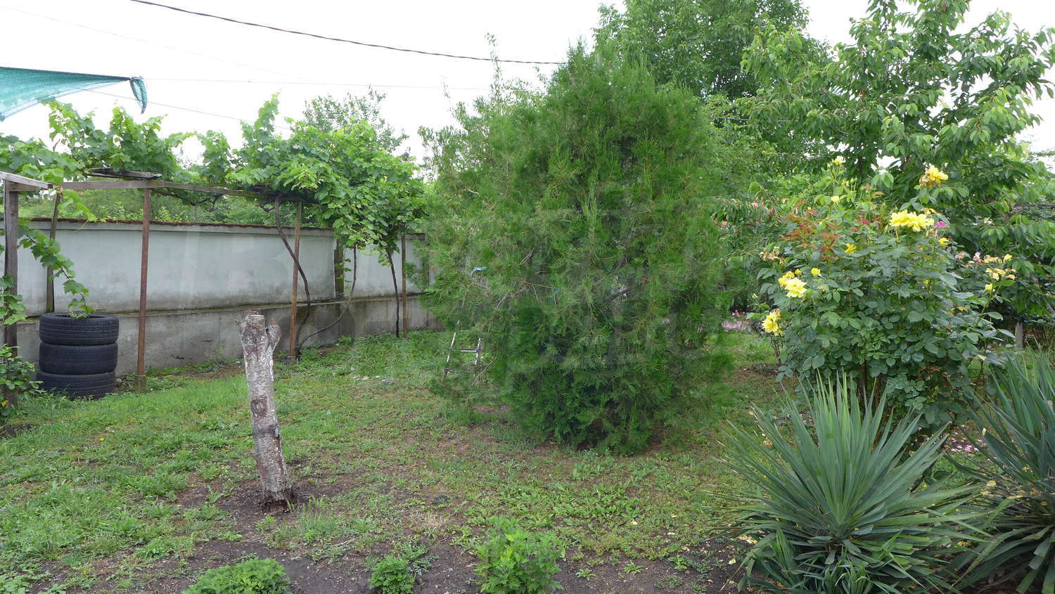 Gallery Picture 49